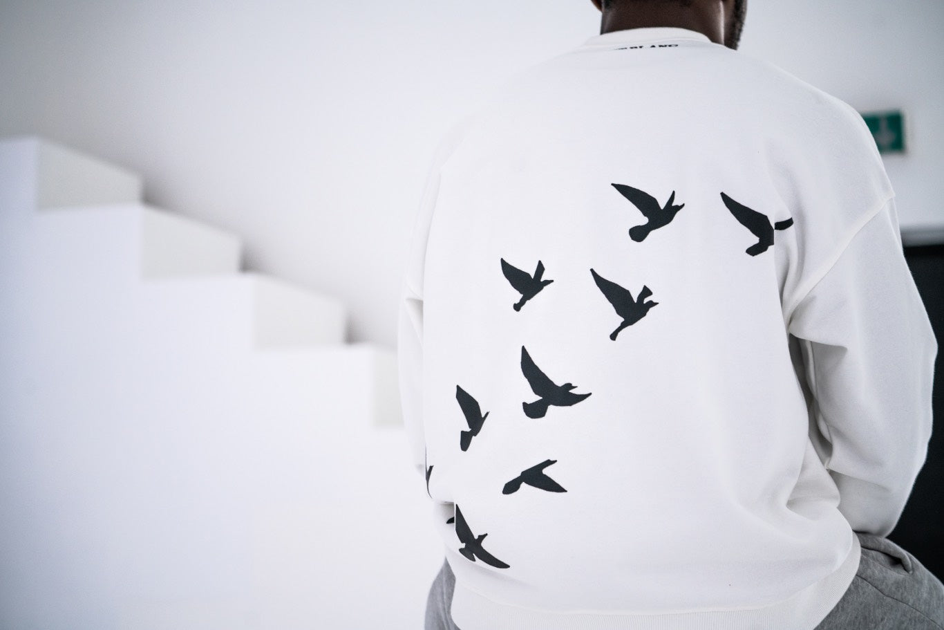 White Every Day Sweatshirt With Bird Design